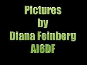 SlideTitle DianaF